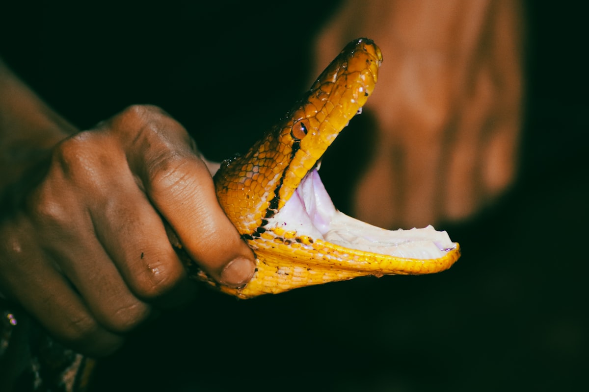Protein timing guide